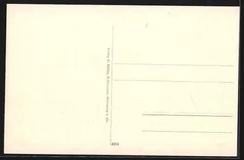 AK Oldenburg i. Gr., Strasse Theaterwall
