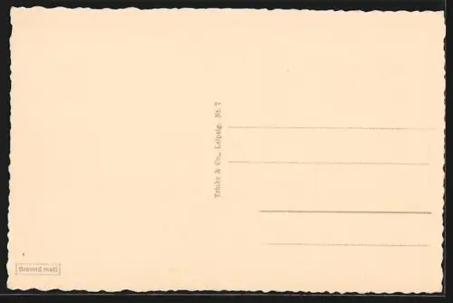 AK Oldenburg i. O., Strasse Theaterwall mit Landestheater