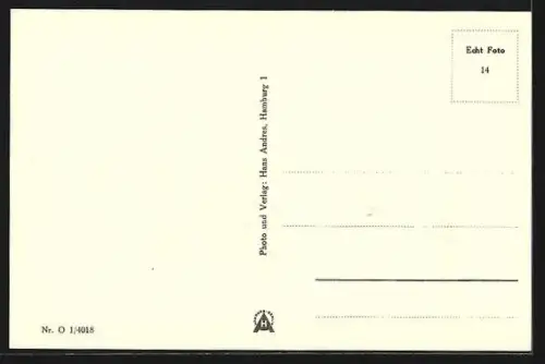 AK Oldenburg i. O., Staugrabenstrasse mit Hauptpostamt