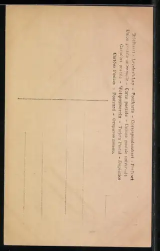 AK Die junge Prinzessin Viktoria Luise mit grossem Hut