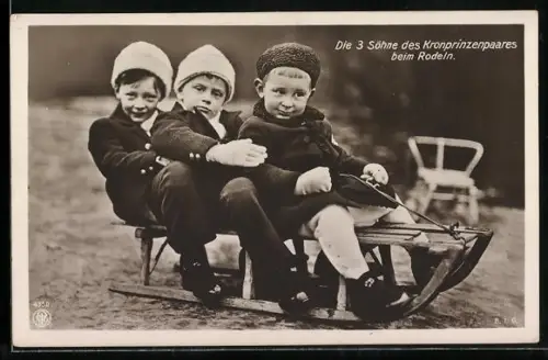 AK Die 3 Söhne des Kronprinzenpaars beim Rodeln, Kronprinz Wilhelm von Preussen