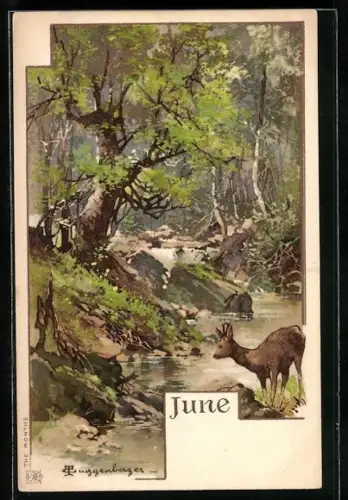 Künstler-AK T.Guggenberger: Monat Juni, Reh am Waldesrand vor einem Bach