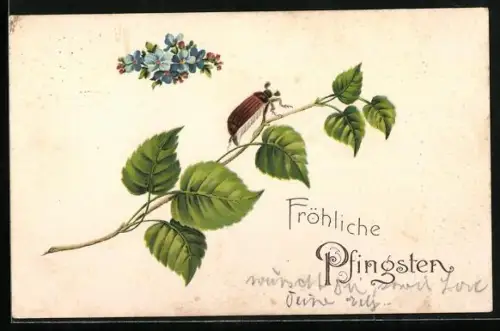 AK Fröhliche Pfingsten, Maikäfer auf Birkenzweig und Vergissmeinnicht