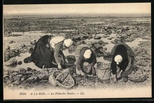 AK A la Mer, La Peche des Moules
