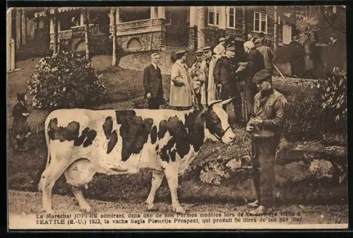 AK Seattle, Bauer bringt seine Kuh zu einer Auktion