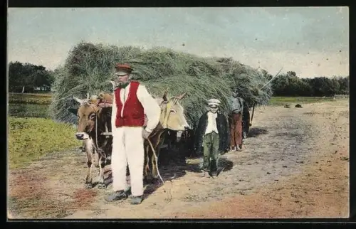 AK Russische Bauern transportieren Heu mit dem Ochsenfuhrwerk