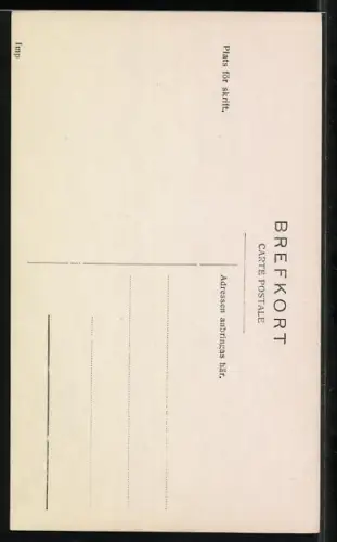 AK Die Kronprinzessin von Schweden mit Blumenstrauss