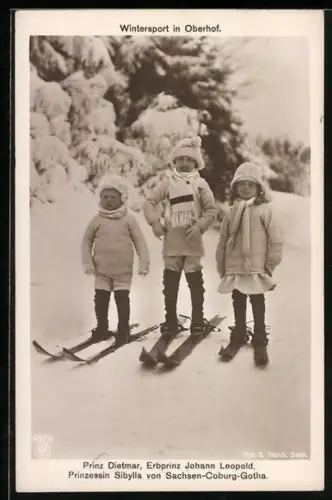 AK Prinz Dietmar, Erbprinz Johann Leopold, Prinzessin Sibylla von Sachsen-Coburg-Gotha auf Ski