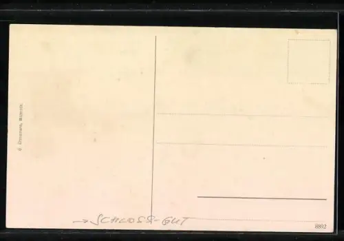 AK Kolk /Lüneb. Heide, Schloss-Gut mit Garten