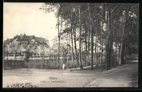 AK Essen, Partie am Bernewäldchen