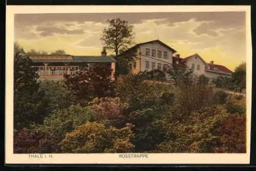 AK Thale i. H., Rosstrappe, Restaurant Walpurgis