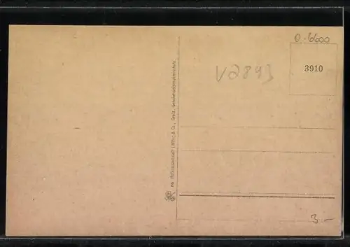 AK Greiz i. V., Schloss, Stadtansicht