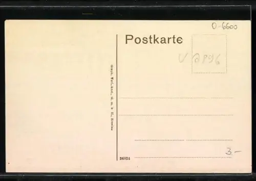 AK Greiz, Motiv aus dem Fürstl. Park