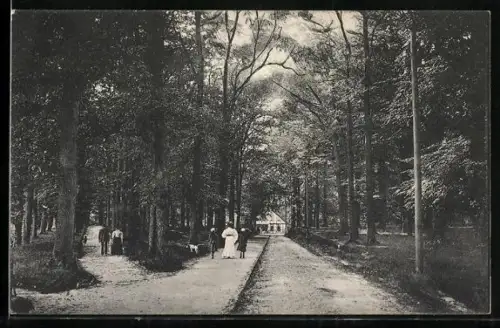 AK Walsrode-Eckernworth, Waldweg, Spaziergänger, Ausflugslokal
