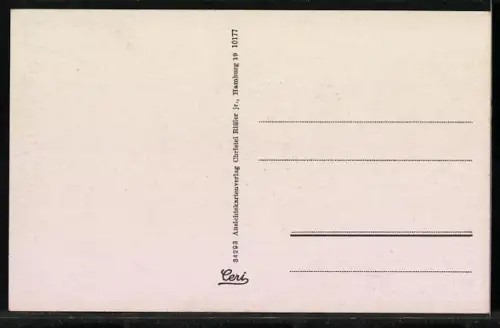 AK Walsrode i. Hann., Flusslauf, Fachwerkhäuser, Wehr