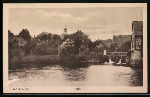 AK Walsrode, Kolk