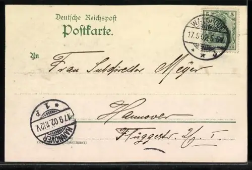 AK Walsrode /Lüneburger Heide, Flusslauf mit Brücke