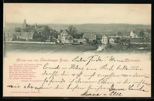AK Walsrode /Lüneburger Heide, Panoramaansicht der Stadt