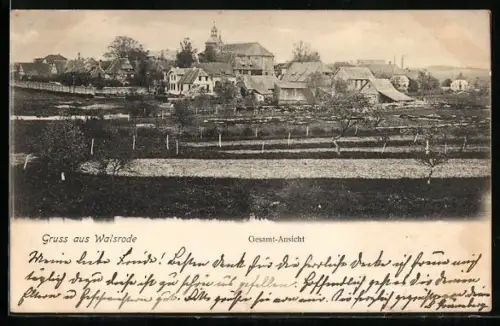 AK Walsrode, Gesamt-Ansicht