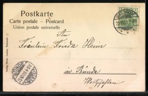 AK Walsrode, Gesamt-Ansicht