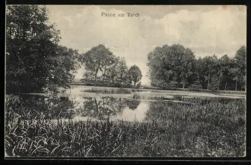 AK Neuhaldensleben, Waldschänke zur Ziegelei, Inh. G. Rode, Partie am Teich