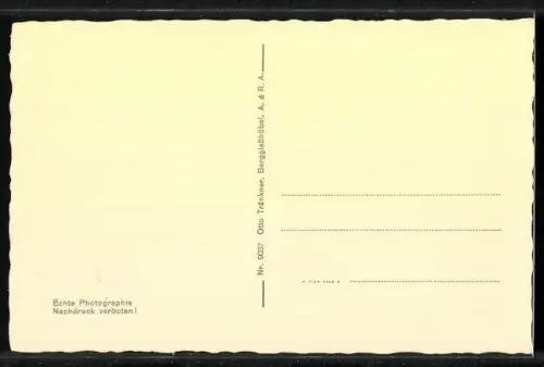 AK Berggiesshübel, Hauptstrasse mit Grünanlage an der Badstrasse