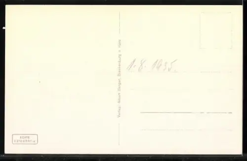 AK Treseburg i. Harz, Ortsansicht mit Brücke