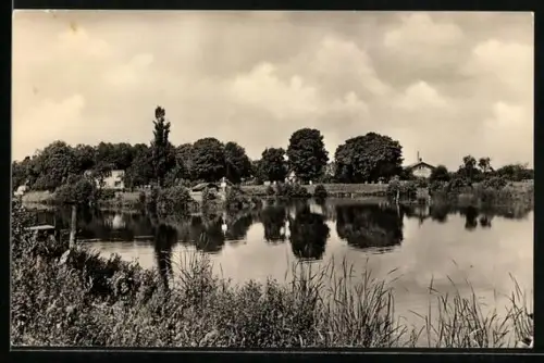 AK Zerpenschleuse /Bernau, Finowkanal, Uferpartie