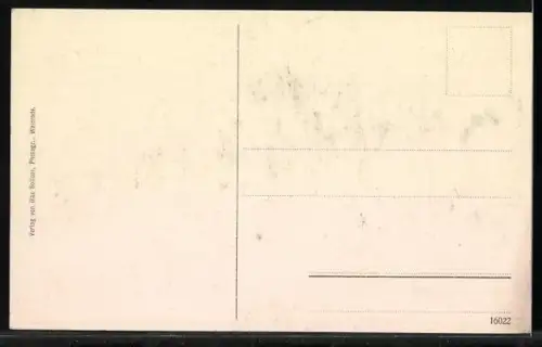 AK Walsrode, Heidemuseum