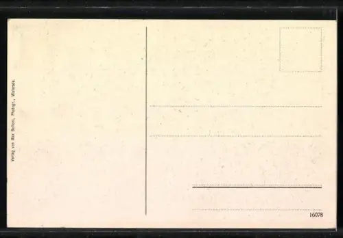 AK Walsrode, Heidemuseum