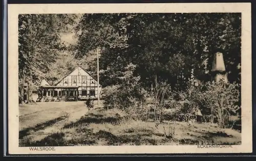 AK Walsrode, Eckernworth