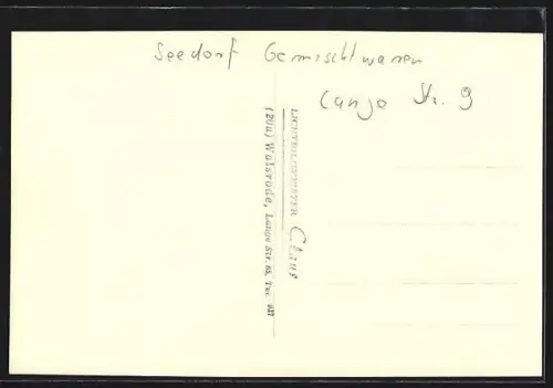 Foto-AK Walsrode, Geschäft Gemischtwaren Seedorf, Lange Strasse 9, Haushalts-Artikel, Töpfe, Zwei Jagdgewehre