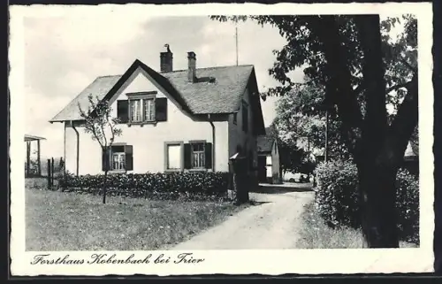 AK Trier, Gasthof Forsthaus Kobenbach im Sonnenschein