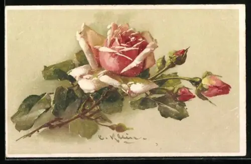 Künstler-AK Catharina Klein: Rosafarbene Rosen