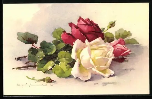 Künstler-AK Catharina Klein: Rote und weisse Rosen in voller Blüte