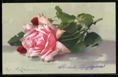 Künstler-AK Catharina Klein: Blühende Rose mit Knospen und grünen Blättern