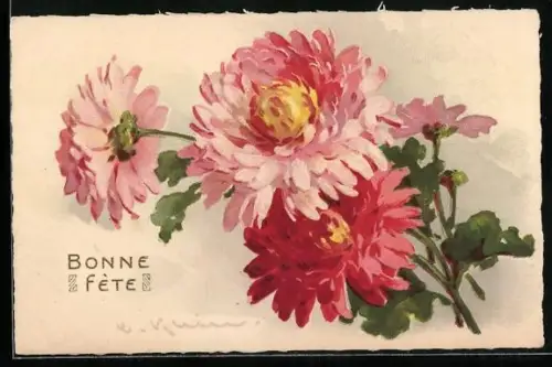 Künstler-AK Catharina Klein: Rote und rosafarbene Crysanthemen, Geburtstagsgruss