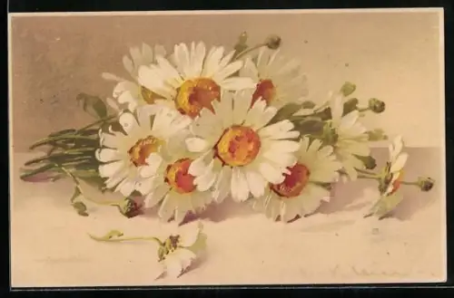 Künstler-AK Catharina Klein: Ein Strauss Margeriten