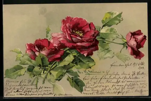 Künstler-AK Catharina Klein: Drei blühende rote Rosen