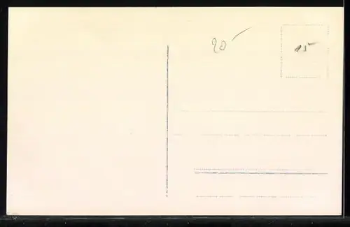 AK Kronprinzessin Cecilie mit ihren ältesten Söhnen auf einem Spaziergang