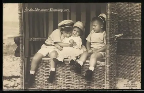 AK die Söhne von Kronprinz Wilhelm von Preussen, im Strandkorb