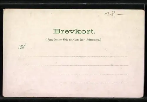 AK Hardangerkone, Norwegerin in Tracht