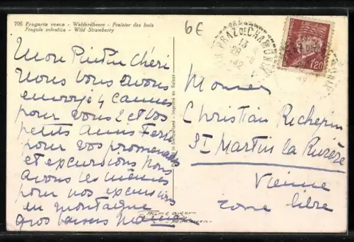 Foto-AK Emanuel Gyger: Walderbeeren an einem Baum