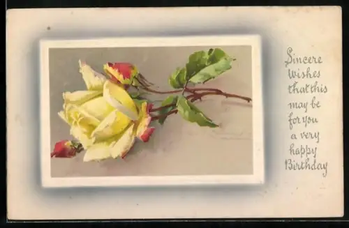 Künstler-AK Catharina Klein: Gelbe Rose mit Knospen