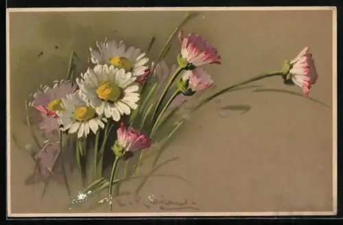Künstler-AK Catharina Klein: Strauss aus blühenden Gänseblümchen