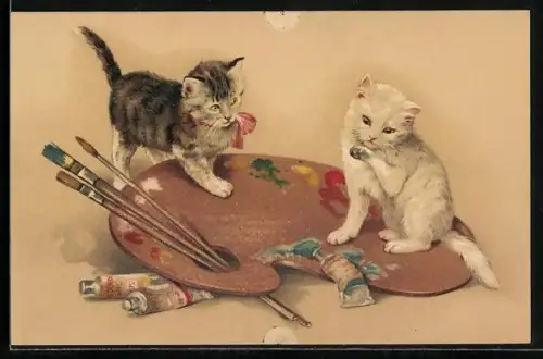 AK zwei süsse Katzen beim Spielen mit Farben auf einer Malerpalette