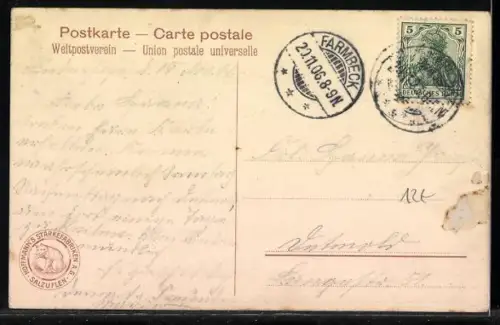 AK vier Katzen umzingeln einen Maikäfer