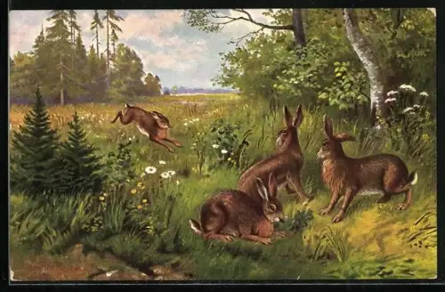 Künstler-AK Hasen am Waldesrand