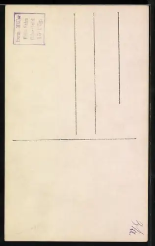 AK Portrait der Kronprinzessin Cecilie von Preussen