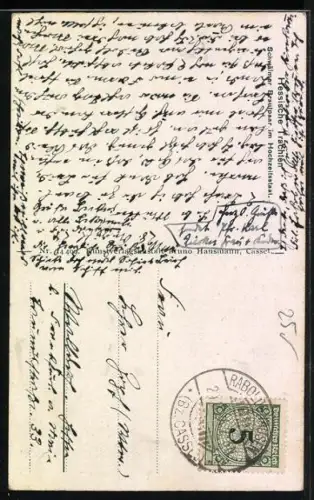 AK Schwälmer Brautpaar im Hochzeitsstaat., hessische Tracht